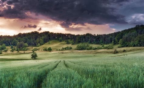 fondo de pantalla campo